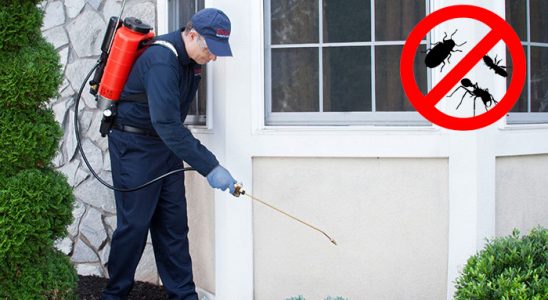 Çağlayancerit Böcek İlaçlama böcek ilaçlama ve haşere kontrolü — ilaclama-tr.com